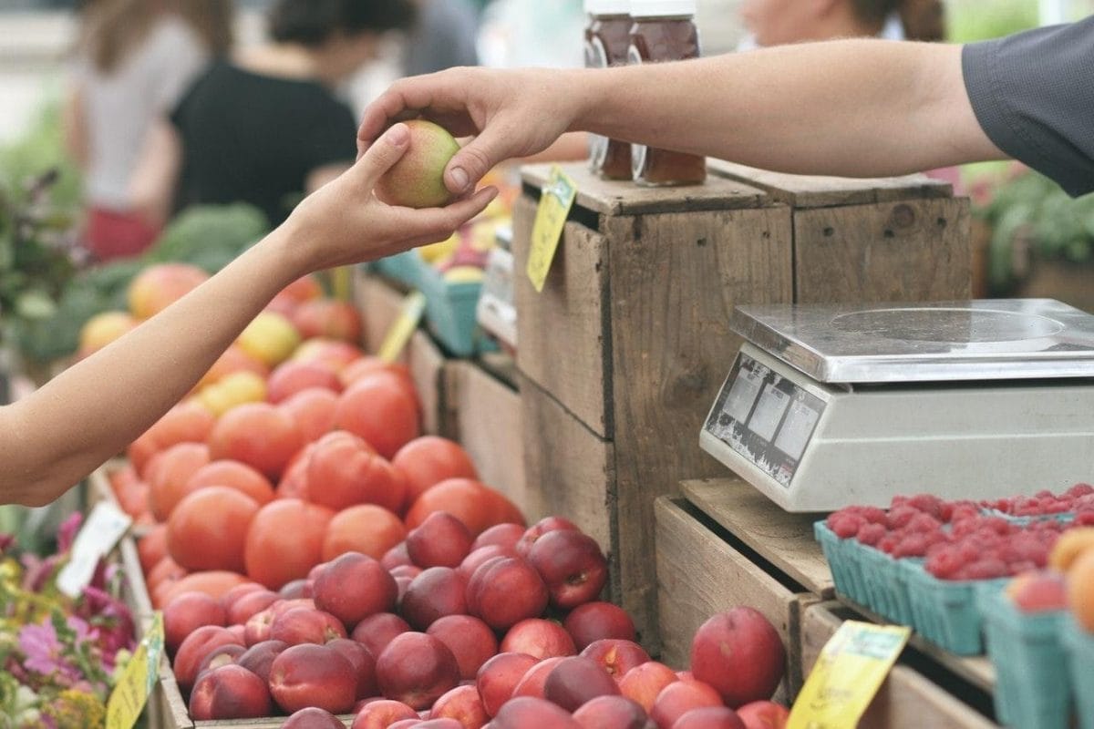 dos personas sostienen una mana color verde con rojo en un mercado al aire libre donde hay manzanas, tomates y frambuesas; consumo local