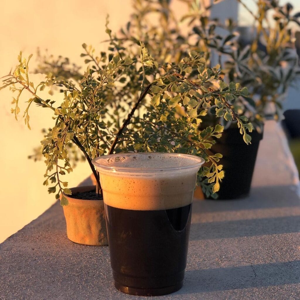 Vaso de cerveza color oscura en una barda junto a macetas con plantas.