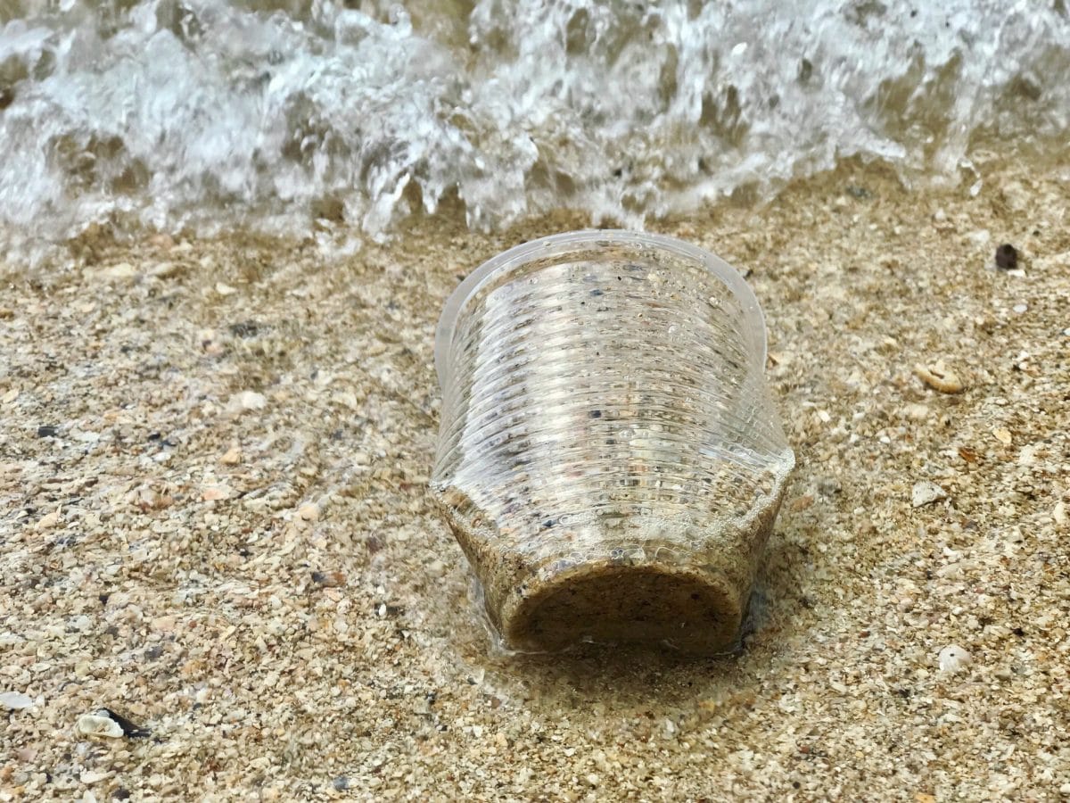 vaso de plástico desechable en la orilla de la playa