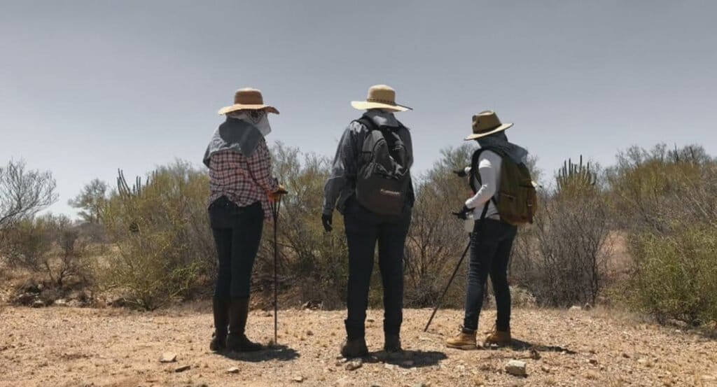 Tres mujeres de espaldas; grupo colectivo de Sonora y Sinaloa. Las tres mujeres tienen sombrero color paja, pantalon de mezclilla oscuro y camisa de manga larga.