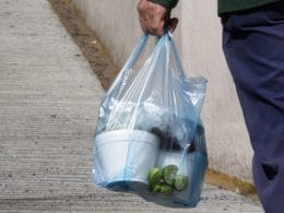 Ley Anti Plásticos en Sinaloa