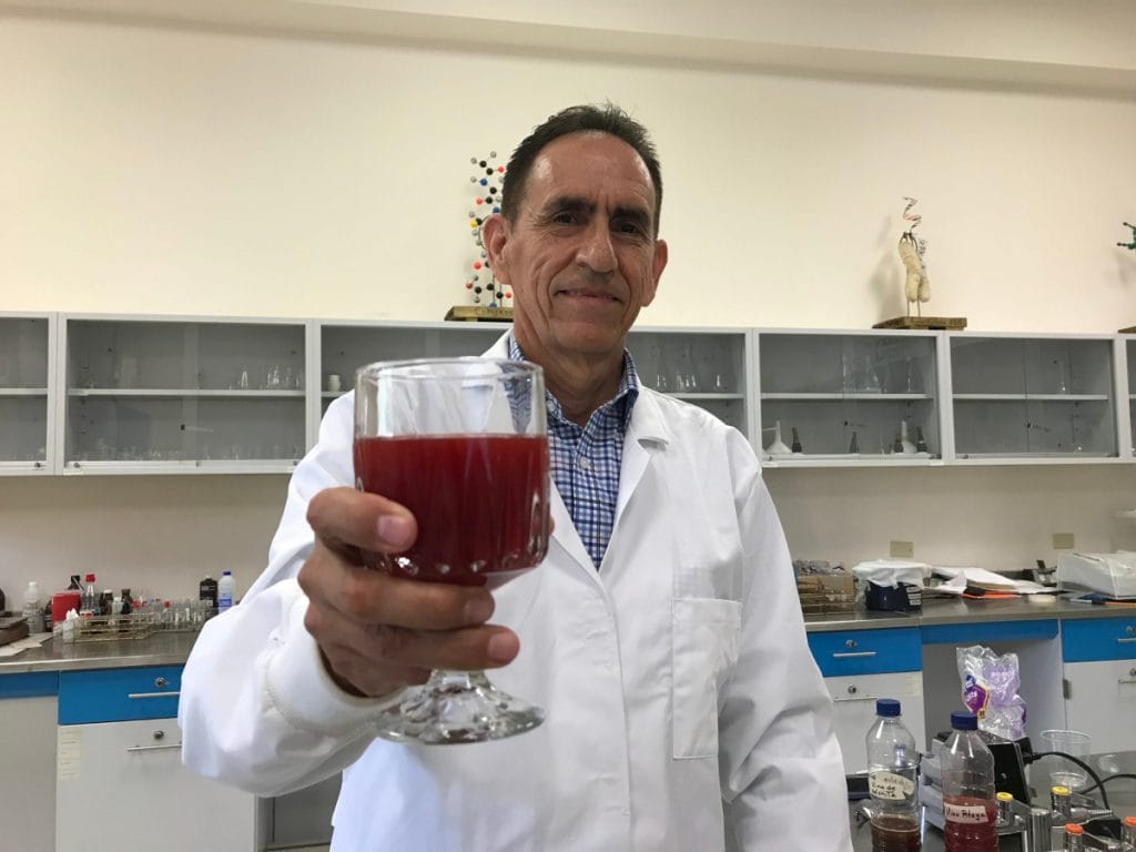 Antonio Romo: investigador del vino de pitaya