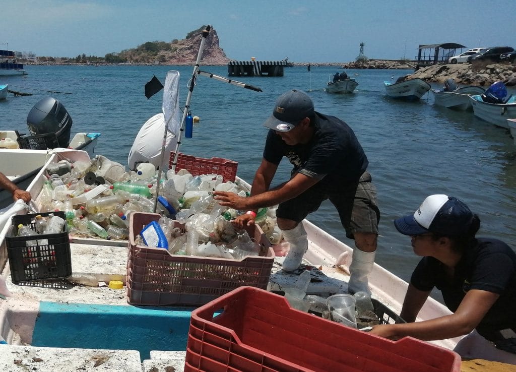 Torneo de pesca de plástico en Mazatlán