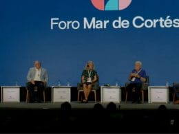 Panel Participación Ciudadana con Christy R Walton, Manuel Arango, Octavio Aburto y Gastón Luken en el Foro Mar de Cortés