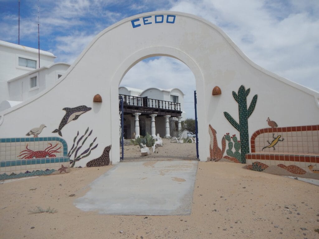 Es una fachada con un arco. Es blanca y hay mosaicos que forman animales marinos como delfín, foca y gaviota; también hay flora y fauna del desierto como un cactus, coyote y lagartija. A la entrada de nota arena de mar que rodea un austero camino de concreto.
