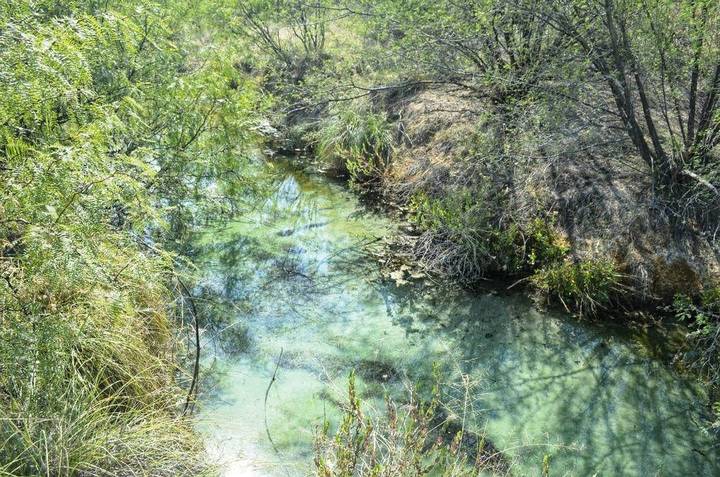 Es una vista panorámica sobre el manantial termal. A los costados hay plantas desérticas que contrastan con el color azul verdoso del agua.