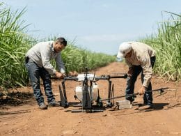 Agratech: empresa sonorense líder en uso de drones agrícolas