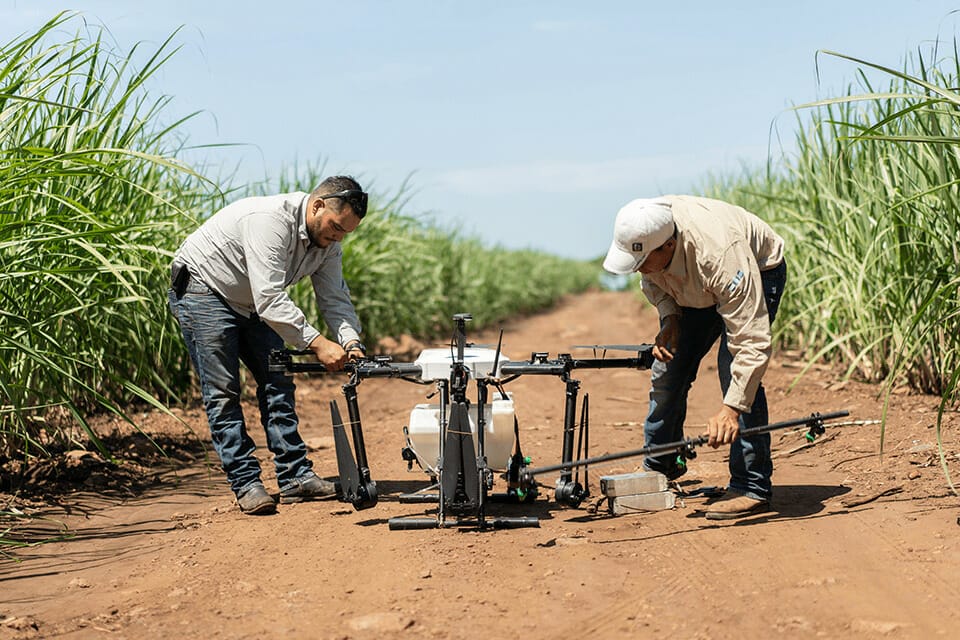 Agratech: empresa sonorense líder en uso de drones agrícolas